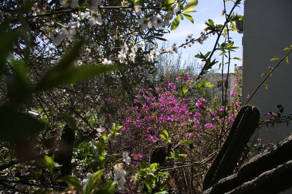 La Piccola Locanda Modica Exteriér fotografie